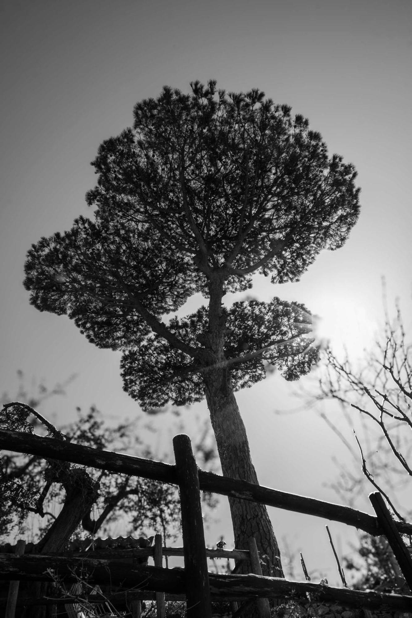 Vila L'Antica Pigna Chateau Vico Equense Exteriér fotografie