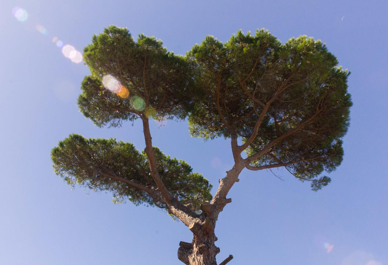 Vila L'Antica Pigna Chateau Vico Equense Exteriér fotografie